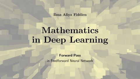 Mathematics in Deep Learning: Forward Pass
